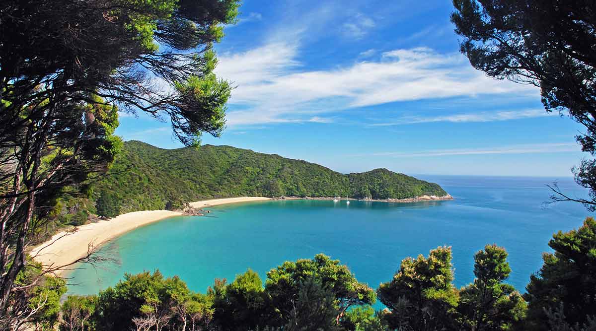 One of the many beautiful bays of the Abel Tasman National Park Abel Tasman National Park Bark Bay