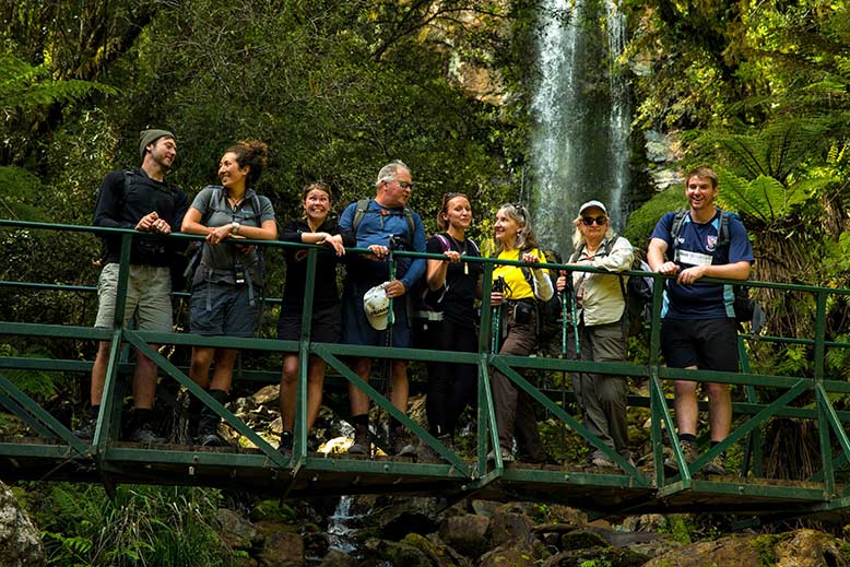 Hollyford Track Day Hikes