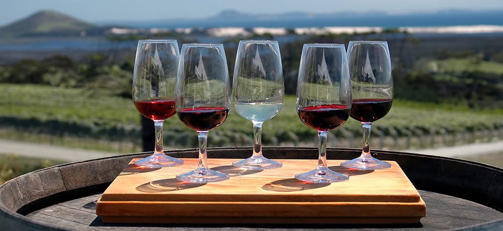 new zealand fare wine tasting glasses