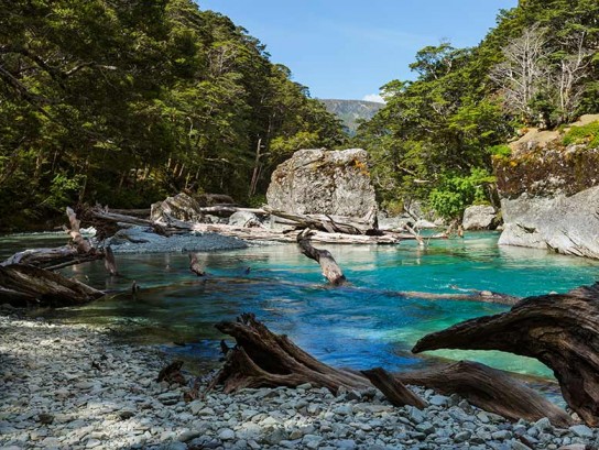 The bright blue waters of the Routeburn River, from the Glenorchy end (traditional start point).