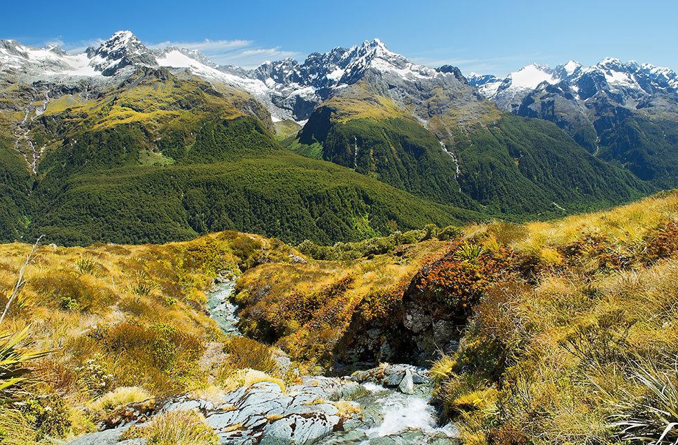 blog milford track
