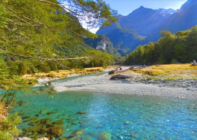 Routeburn River
