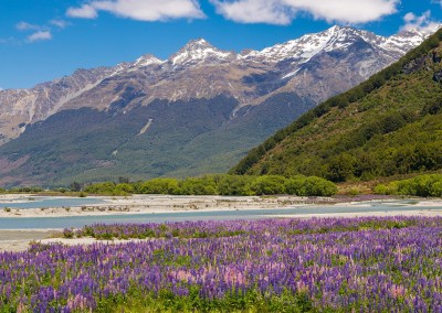 Dart River Valley