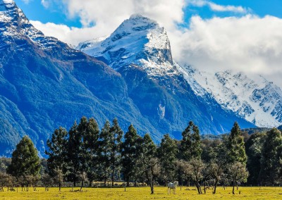Glenorchy Vista