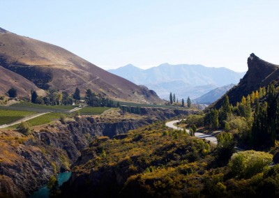 Gibbston Valley
