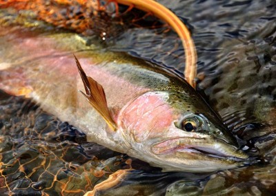 Fly fishing