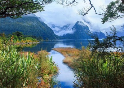 A moody Milford Sound