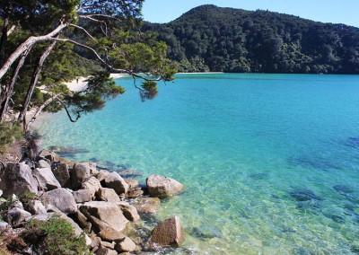 Bark Bay beach