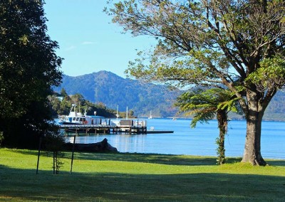 Punga Cove picnic area