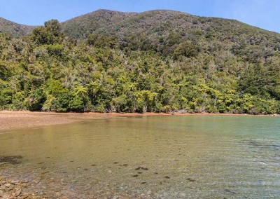 Endeavour Inlet