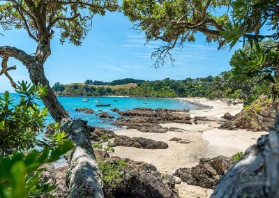 Waiheke coastline