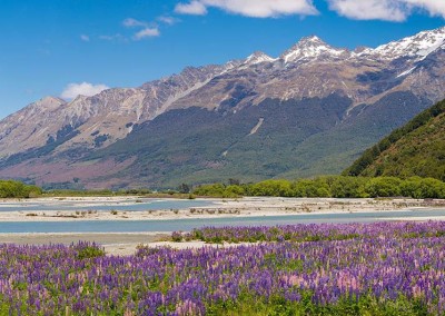 Dart River Valley