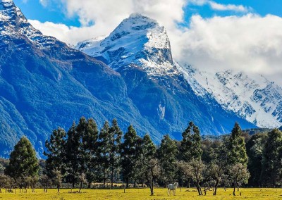Glenorchy Vista