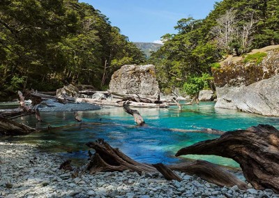 Routeburn River