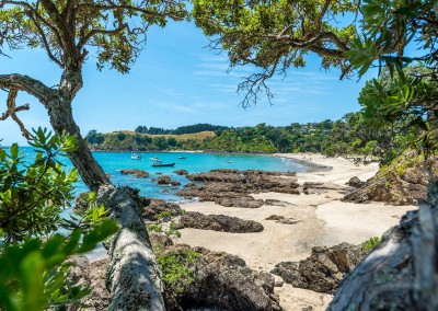 Waiheke coastline