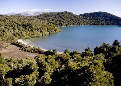 Lake Rotopounamu from above